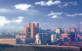 中國石化儀征化纖股份有限公司 中國石化儀征化纖股份有限公司