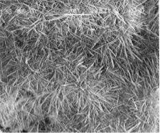 硫氧鎂水泥 硫氧鎂水泥