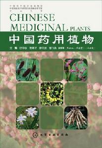 中國藥用植物(二十五) 中國藥用植物(二十五)