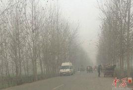 11·22淮陽縣滅門案 11·22淮陽縣滅門案