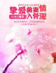 摯愛前妻入骨情深 摯愛前妻入骨情深