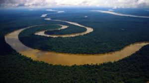 蜿蜒的亞馬遜河