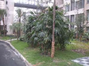 78號觀邸三期 78號觀邸三期