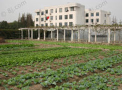 上海市閔行區青少年實踐教育基地 上海市閔行區青少年實踐教育基地