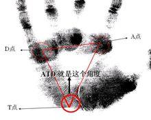 ATD角