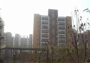 鑫苑金座 鑫苑金座