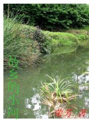 故鄉的小河 故鄉的小河