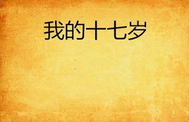 我的十七歲