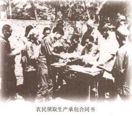 家庭聯產承包責任制