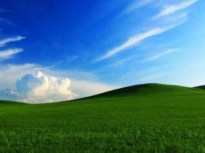 多倫草原 多倫草原