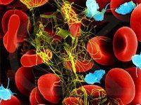 凝血功能 凝血功能