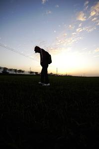 關於莉莉周的一切