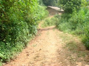 蘇荒寨自然村 蘇荒寨自然村