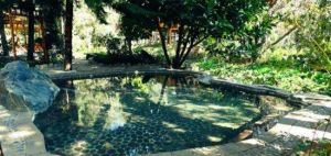 普陀泉SPA溫泉度假村 普陀泉SPA溫泉度假村