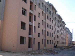 豐本金河人家 豐本金河人家