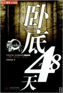 《臥底48天》 《臥底48天》