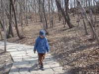 本溪市望溪公園 本溪市望溪公園