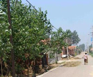 墨得水一村 墨得水一村