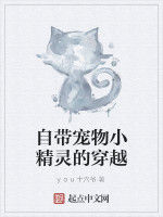 自帶寵物小精靈的穿越 自帶寵物小精靈的穿越