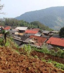 焦山下寨自然村 焦山下寨自然村