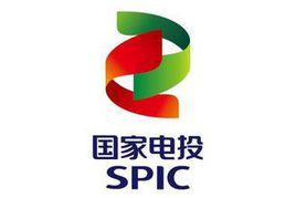 國家電力投資集團有限公司 國家電力投資集團有限公司