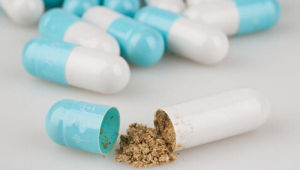 中奇牌苦瓜膠囊 中奇牌苦瓜膠囊