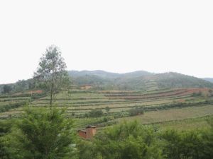 大村中村 大村中村