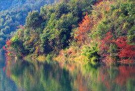 魯古河自然保護區 魯古河自然保護區