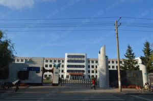 訥河市第一良種場中學
