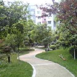 雙楠華苑 雙楠華苑