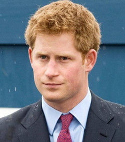 哈利王子 哈利王子