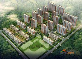 金鼎麗城 金鼎麗城