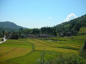 舒家寨自然村 舒家寨自然村