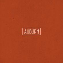 首張專輯《赤褐色》