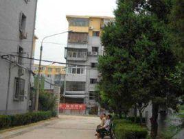 馬連窪梅園 馬連窪梅園