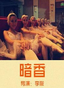 暗香[2010年李威執導電影]