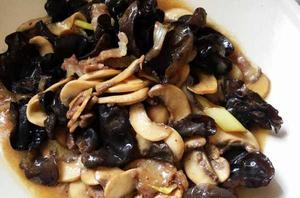木耳口蘑 木耳口蘑