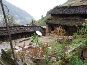 龍塘坪村 龍塘坪村