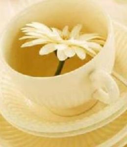 桑菊防感湯 桑菊防感湯