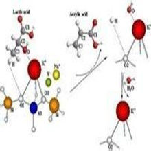 代謝活化 代謝活化