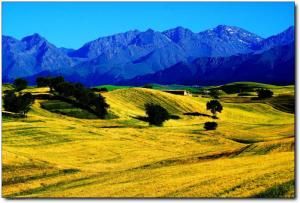 江布拉克風景旅遊區 江布拉克風景旅遊區