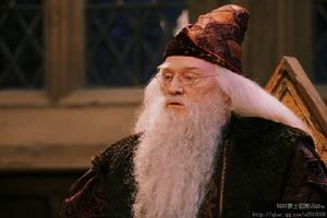 阿不思鄧布利多