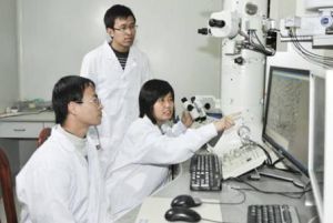 煤質分析技術 煤質分析技術