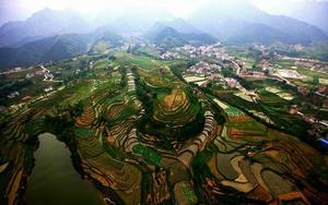 秦[陝西的簡稱]