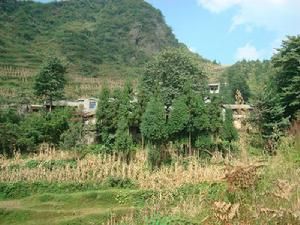 麻灣自然村 麻灣自然村