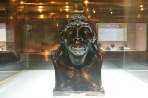 樹華古人類館 樹華古人類館