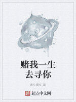 賭我一生去尋你 賭我一生去尋你