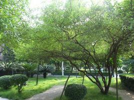 東溪公園 東溪公園