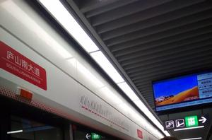 廬山南大道站 廬山南大道站