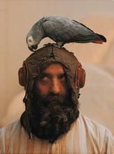 凱撒·巴達奇尼 凱撒·巴達奇尼